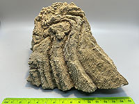 A folded, banded layered rock that kinda looks like a vulture (note eyeball and beak at top)